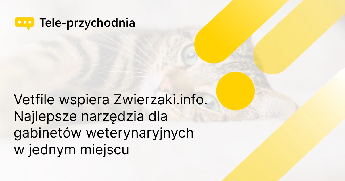 Vetfile wspiera Zwierzaki.info. Najlepsze narzędzia dla gabinetów weterynaryjnych w jednym miejscu